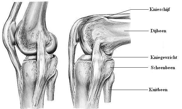 Knie_1